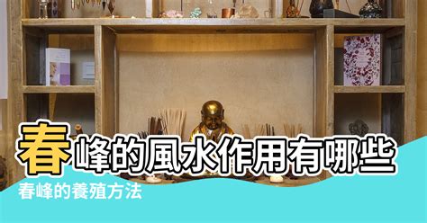 春峰風水|春峰的栽培技術以及作用用途